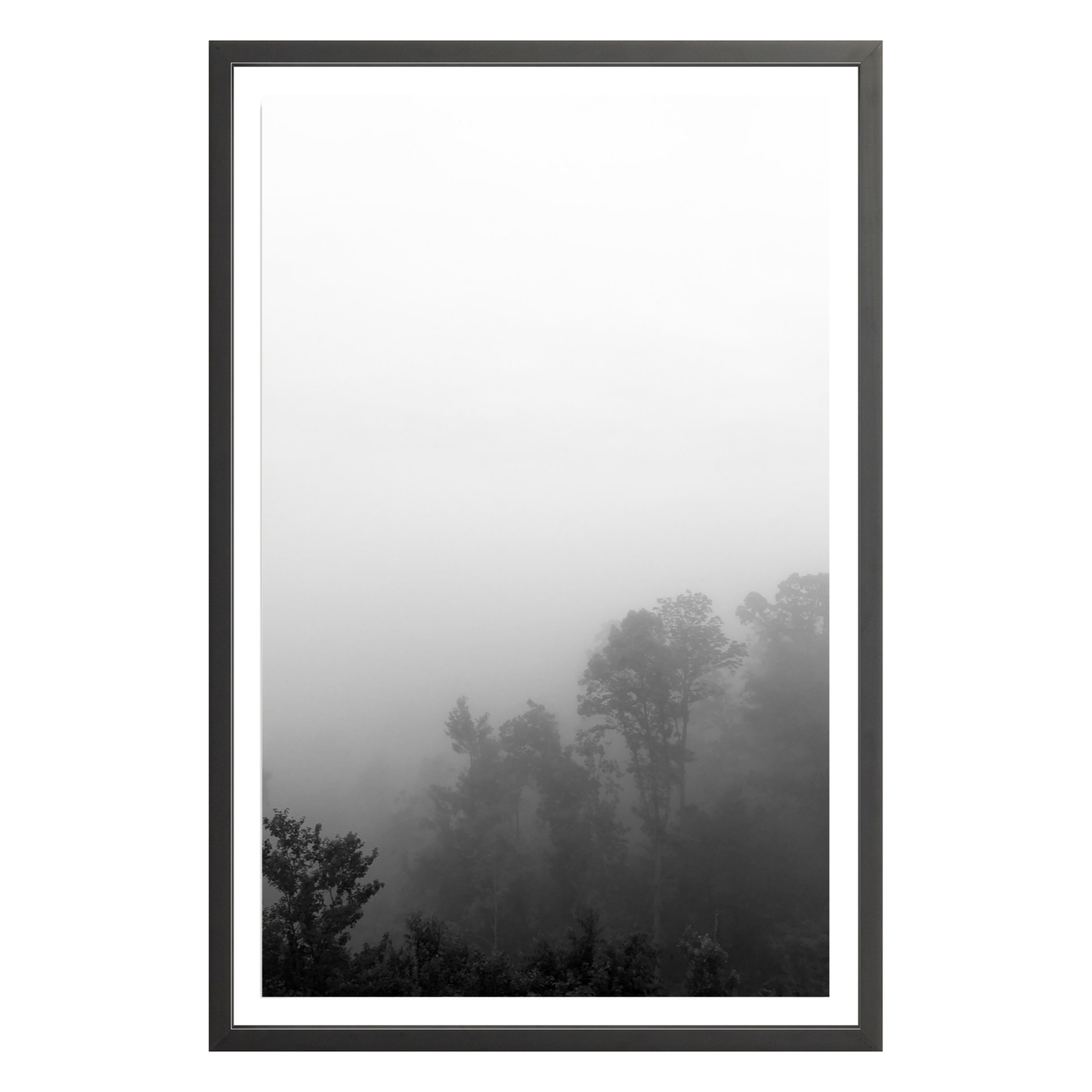 Fog