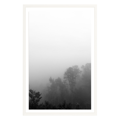 Fog