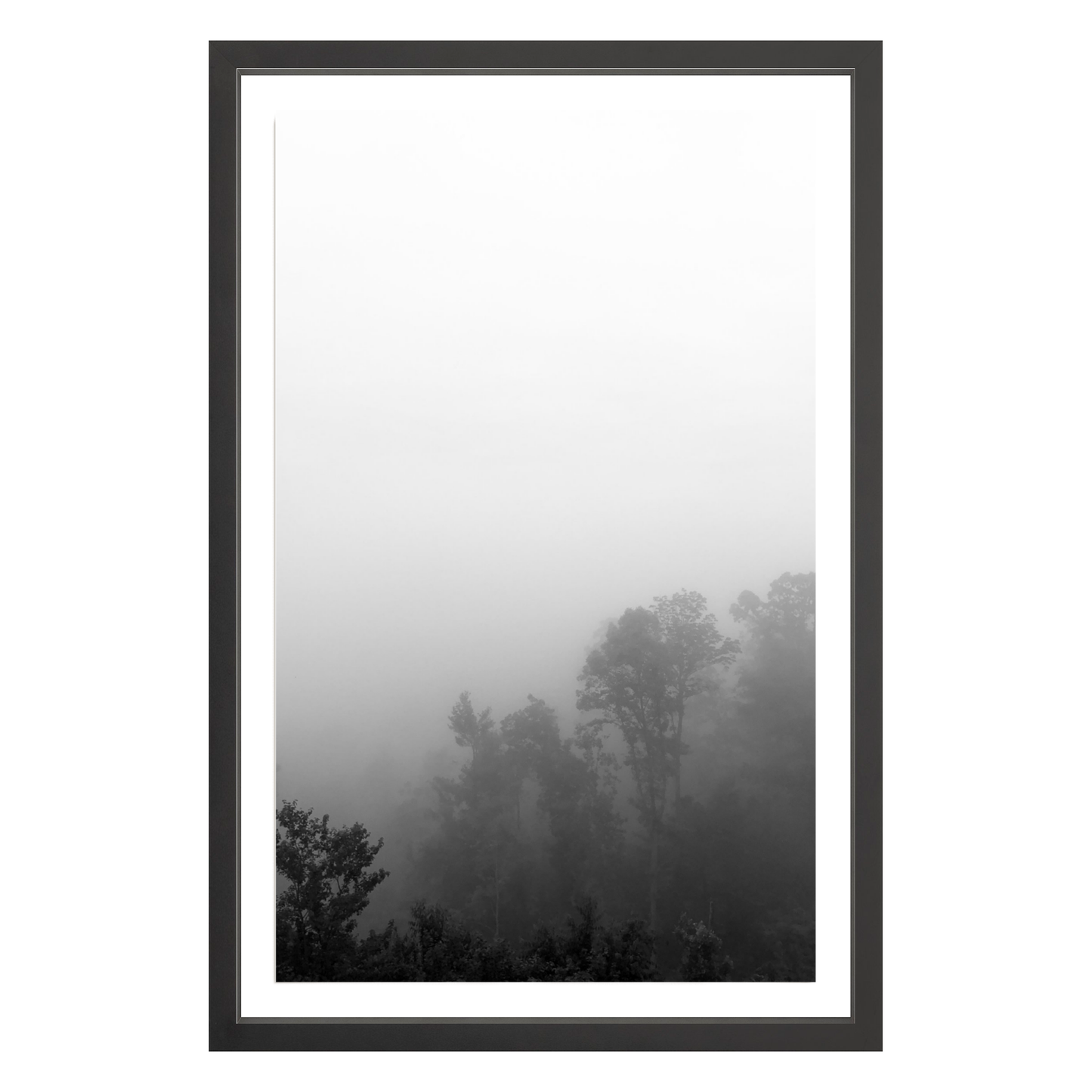 Fog