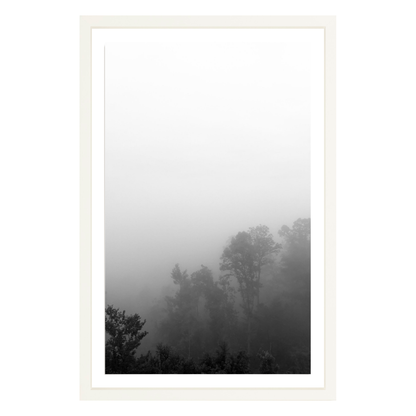 Fog