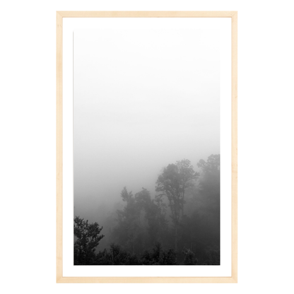 Fog