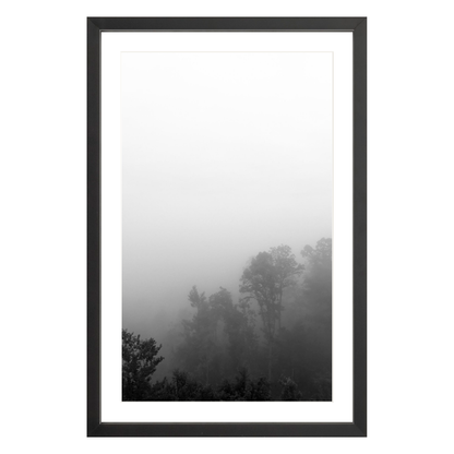 Fog