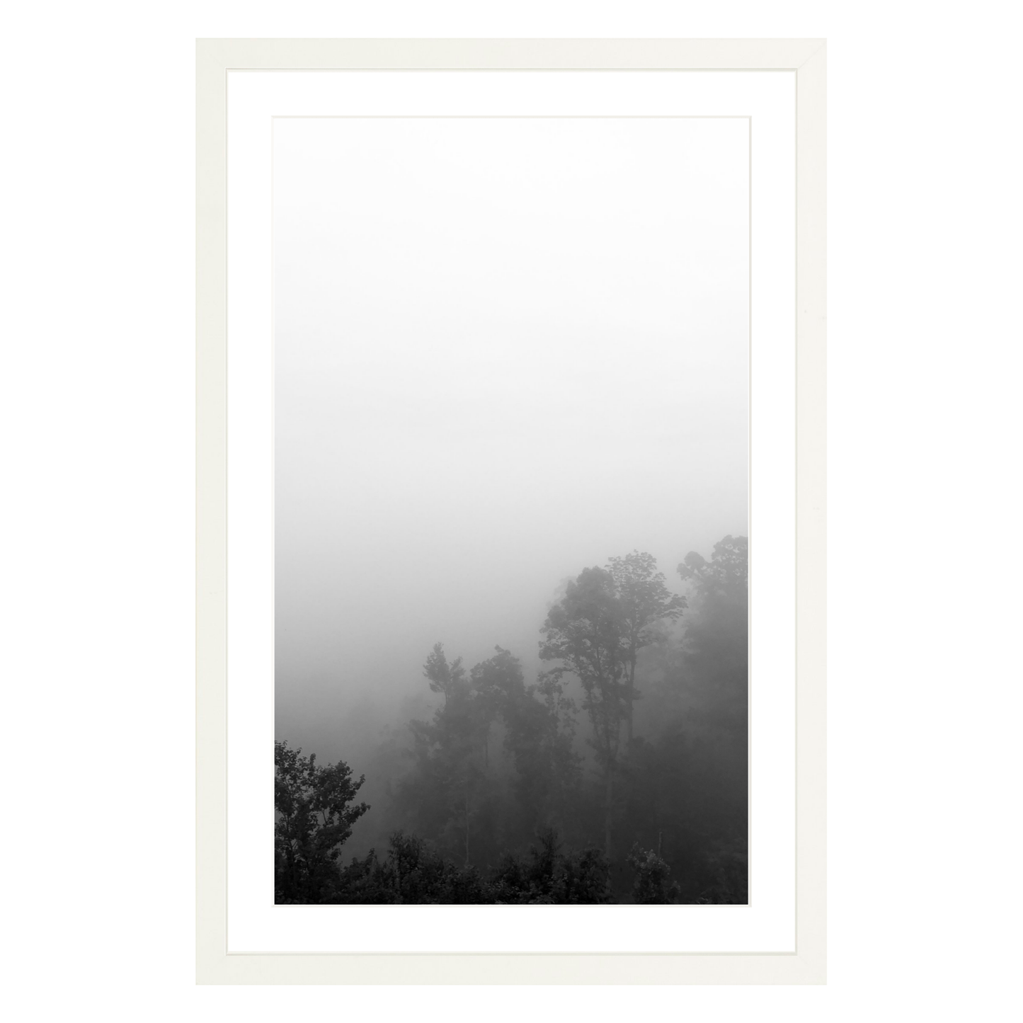 Fog