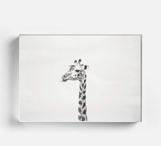 Gerald Acrylic Block