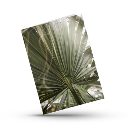 A Print Shop greeting cards are blank inside and perfect for any occasion. Amanda Anderson's "Palm" photo is from the center of a palm frond in Debordieu, SC.